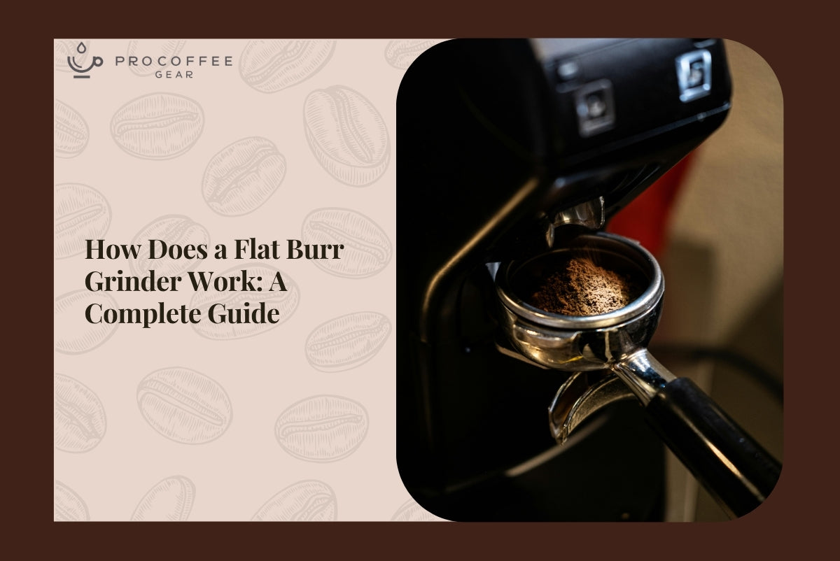 How Does a Flat Burr Grinder Work: A Complete Guide