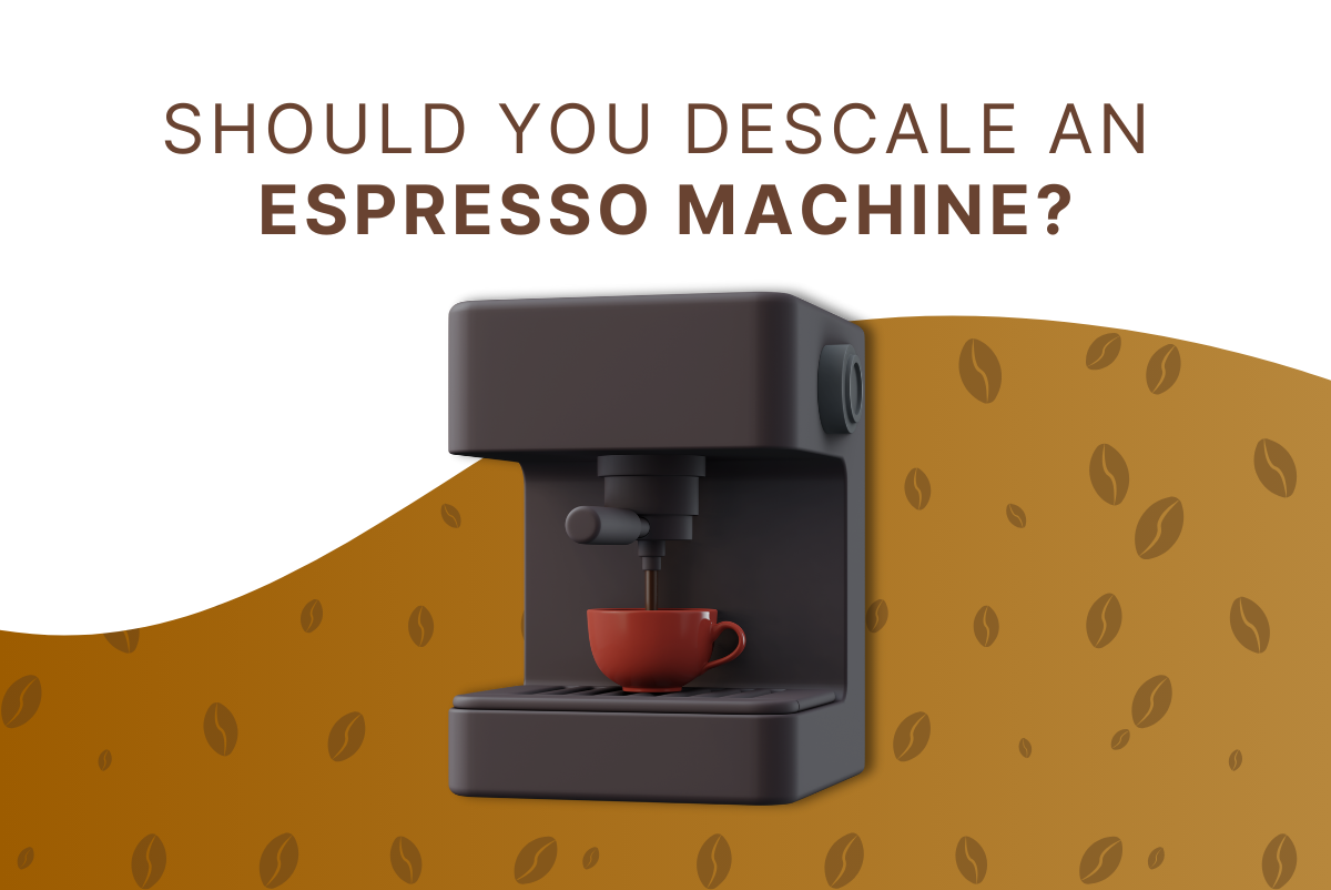 Should You Descale an Espresso Machine