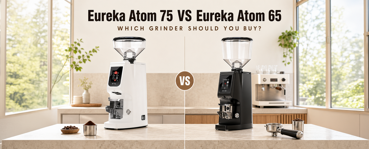 Eureka Atom 65 vs Eureka Atom 75: Which Grinder Should You Buy? (2026)