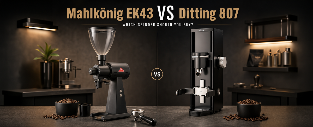Mahlkonig EK43 vs Ditting 807: Which Grinder Should You Buy? (2026)
