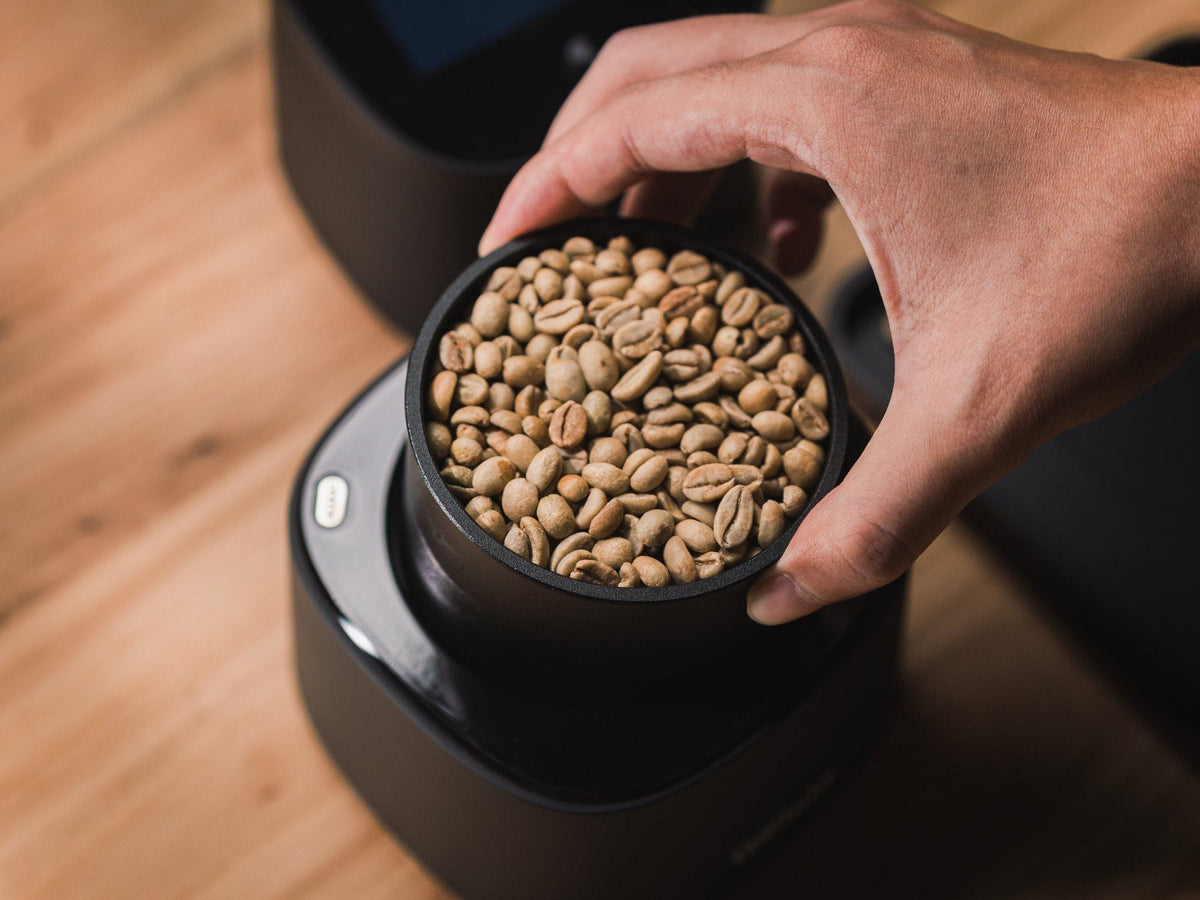 Loading green coffee into the DiFluid Omix Plus