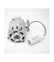 Motor Pump V115 (1GR)